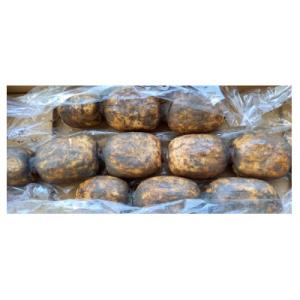 ふるさと納税 佐賀市 佐賀県産　泥付きレンコン　3kg