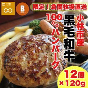 ふるさと納税 小林市 【おためし+4個】黒毛和牛専門店の黒毛和牛100%ハンバーグプラス(計12個)