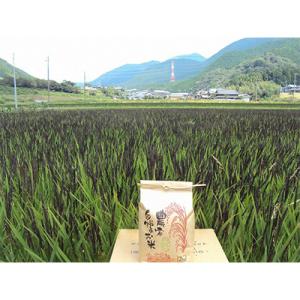 アイテムID:292425の画像1枚目