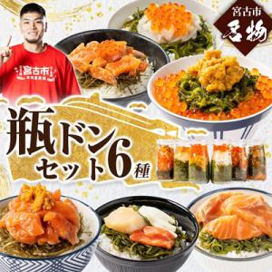 瓶ドン 食べ比べ 6種類セット 川秀 浄土ヶ浜レストハウス 古須賀商店 海鮮丼 冷凍 ウニ イクラ