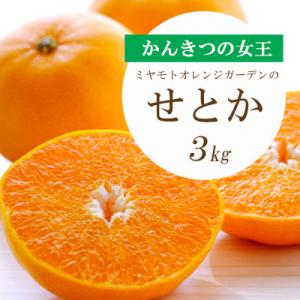 【先行受付】とろける濃厚柑橘 せとか 3kg 愛媛県八幡浜産【E25-9】