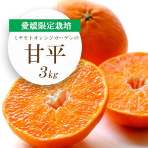 【先行受付】愛媛限定栽培柑橘 甘平(かんぺい)3kg【F25-8】