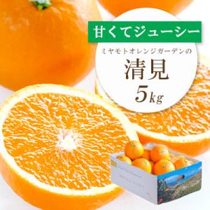 果汁たっぷり ジューシー 清見 5kg │ 愛媛県八幡浜市産【E25-126】