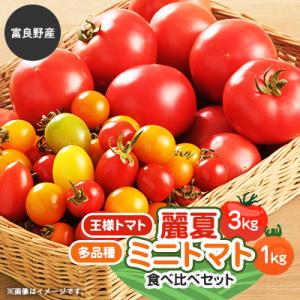 【2026年発送】王様トマト麗夏3kg&多品種ミニトマト1kg食べ比べセット