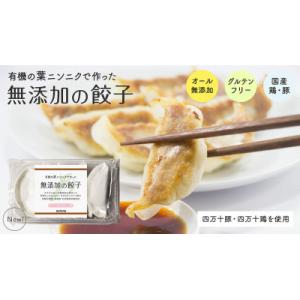 ふるさと納税 須崎市 葉ニンニクと四万十豚で作った餃子(4パック4人前)【添加物不使用】