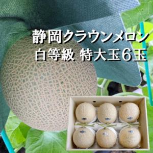 ふるさと納税 森町 クラウンメロン【並(白等級)...の商品画像