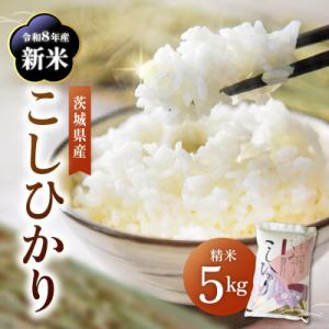 令和7年産かすみがうら市産コシヒカリ  精米  5kg