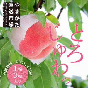 ふるさと納税 山形県 [令和8年発送]山形 もぎたて白桃3kg ギフト箱入り