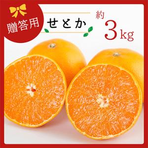 コウ果樹園の「柑橘の大トロ　せとか約3kg」【C33-1】