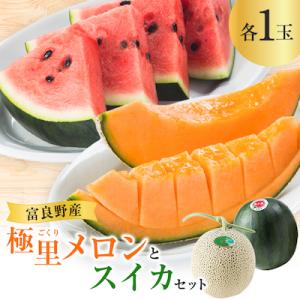 【2027年発送先行受付】極里メロンとスイカセット
