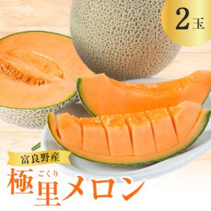 ふるさと納税 富良野市 【2026年発送】富良野産　極里メロン 2玉