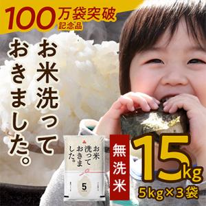 ふるさと納税 泉佐野市 【9月30日受付終了】国産 無洗米 15kg(5kg×3袋) お米 099H1772