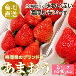 ふるさと納税 豊前市 【2023年1月上旬から順次発送】濃厚あまおう270g以上×2パック