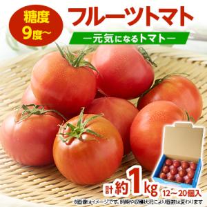 佐野市 元気になるトマト【フルーツトマト】