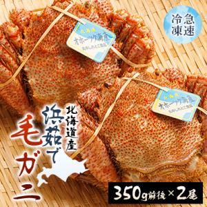 北海道産　浜茹で毛ガニ　350g前後×2尾