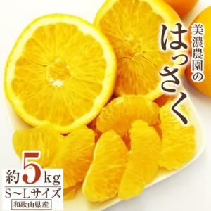 和歌山県産　美濃農園のはっさく 約5kg(皮をむく道具付き)