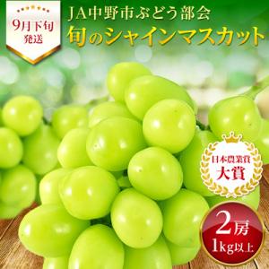 ふるさと納税 中野市 2023年9月中下旬お届け!長野県 JA中野市ぶどう部会より産直!旬のシャインマスカット1kg以上