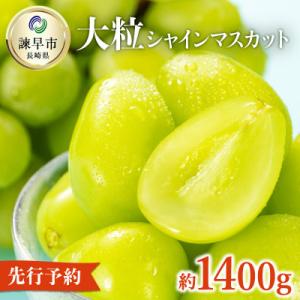 ふるさと納税 諫早市 長崎県産シャインマスカット 1.3kg