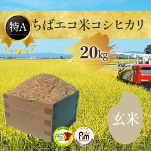 ふるさと納税 大網白里市 【令和5年産】【特A評価】千葉県産「エコ米コシヒカリ」玄米　20kg×1袋