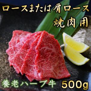 ふるさと納税 養老町 養老ハーブ牛　ロースまたは肩ロース　焼肉用　500g｜さとふる