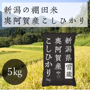 ふるさと納税 阿賀町 【2022年6月中旬発送】新潟県奥阿賀産こしひかり5kg