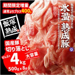 ふるさと納税 飯塚市 【飯塚熟成豚】国産豚切落し4.0kg(500g×8p)【A-622-4】