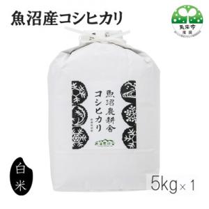 【令和7年産】米農家自慢の 魚沼産 コシヒカリ 精米 5kg×1袋 【魚沼農耕舎】