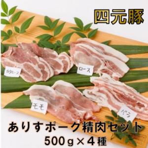 ありすポーク精肉セット【4種各500g】