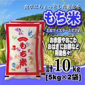ふるさと納税 新庄市 令和7年産 山形県産 はえぬき 精米5kg×2袋 計10kg