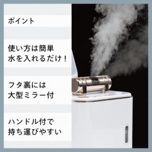 ふるさと納税 燕市 ツインバード フェイススチ...の詳細画像1
