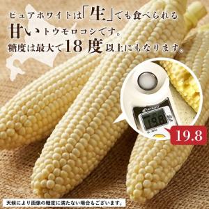 ふるさと納税 富良野市 2026年先行予約 北...の詳細画像1