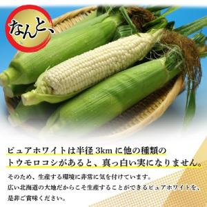 ふるさと納税 富良野市 2026年先行予約 北...の詳細画像3