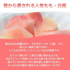 ふるさと納税 山梨市 《2026年発送》桃 『...の詳細画像1