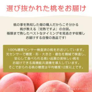 ふるさと納税 山梨市 《2026年発送》桃 『...の詳細画像2