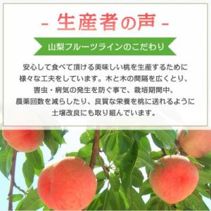 ふるさと納税 山梨市 《2026年発送》桃 『...の詳細画像3