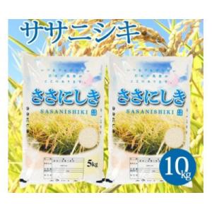 【令和7年産米】【山形県庄内産】ササニシキ5kg×2袋計10kg