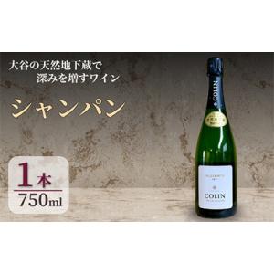 ふるさと納税 宇都宮市 大谷の天然地下蔵で深みを増すワイン シャンパン 1本｜y-sf