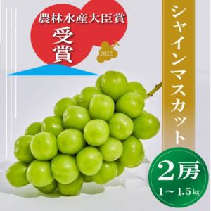 ふるさと納税 南アルプス市 【2024年先行受付】【農林水産大臣賞受賞!!】シャインマスカット 2房...