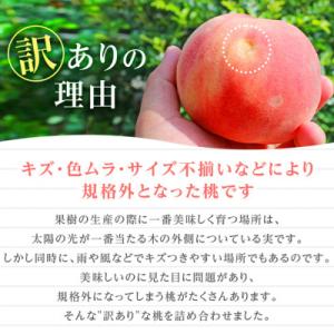 ふるさと納税 山梨市 2027年発送 先行受付...の詳細画像2