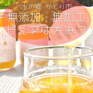 ふるさと納税 香取市 水の郷の花々から採ったそ...の詳細画像2