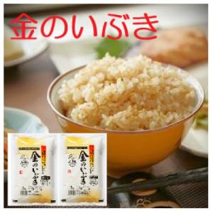 【令和7年産】金のいぶき 4kg(2kg×2袋)　玄米