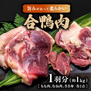 合鴨肉　1羽分(もも肉、むね肉、ささ身　各2ずつ)