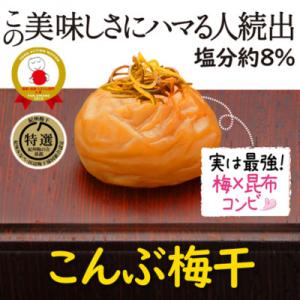 特選A級 紀州南高梅 こんぶ漬800g 千年の知恵 梅干し ブランド梅 和歌山県産 紀州ほそ川