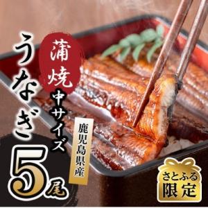 ふるさと納税 志布志市 【さとふる限定】鹿児島県産 伊崎田のうなぎ蒲焼 中5尾(合計750g〜845g)
