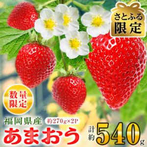 ふるさと納税 芦屋町 【さとふる限定】　【数量限定】福岡県産あまおう約270g×2 パック(2026...