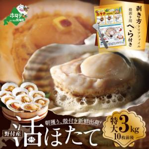 活ホタテ貝 殻付き 大粒 3kg前後/10枚前後入り 北海道 生 ほたて貝柱 で 絶品刺身 新鮮出荷