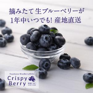 【日本でここだけ!】春夏秋冬いつでも旬のブルーベリー〈クリスピーベリー〉 100gパック×3