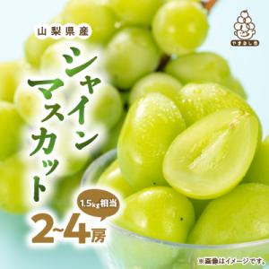 ふるさと納税 山梨市 厳選　池田青果のシャインマスカット2房〜4房(1.5kg相当) ふるさと納税