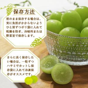 ふるさと納税 山梨市 厳選 池田青果のシャイン...の詳細画像2