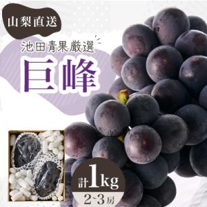 【2026年発送】厳選　池田青果の巨峰　2房～3房 　1キロ　ふるさと納税